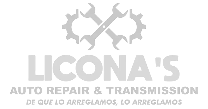 Liconas logo-footer